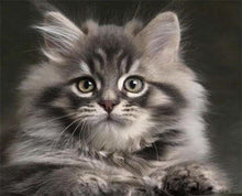 Charger l'image dans la galerie, peinture par numéros | Joli Chat Maine Coon | animaux chats complexe | FiguredArt