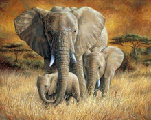 Charger l'image dans la galerie, peinture par numéros | La Famille Eléphants | nouveautés animaux éléphants complexe | FiguredArt