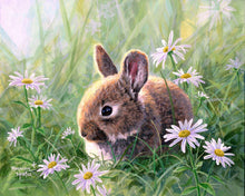 Charger l'image dans la galerie, Peinture par numéros Lapin et marguerites | Figured'Art intermédiaire animaux lapins nouveautés