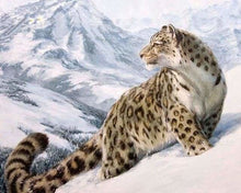 Charger l'image dans la galerie, peinture par numéros | Léopard des Neiges | animaux intermédiaire léopards | FiguredArt