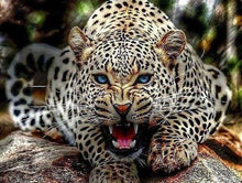 Charger l'image dans la galerie, peinture par numéros | Léopard menaçant | animaux complexe léopards | FiguredArt