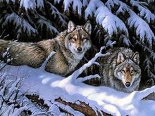Charger l'image dans la galerie, peinture par numéros | Loups en Hiver | animaux complexe loups | FiguredArt
