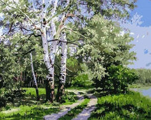 Charger l'image dans la galerie, peinture par numéros | Paysage de Peupliers | arbres intermédiaire nouveautés paysages | FiguredArt