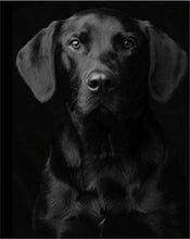 Charger l'image dans la galerie, peinture par numéros | Portrait de Chien noir | animaux chiens complexe | FiguredArt