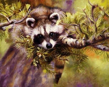 Charger l'image dans la galerie, peinture par numéros | Raton laveur sur un Arbre | animaux arbres complexe ratons laveurs | FiguredArt