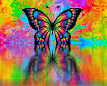 Charger l'image dans la galerie, peinture par numéros | Reflet de Papillon | animaux, Complexe, papillons | FiguredArt