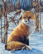 Charger l'image dans la galerie, Peinture par numéros Renard dans la Neige | Figured'Art facile animaux renards nouveautés