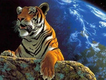 Charger l'image dans la galerie, peinture par numéros | Tigre et terre | animaux facile tigres | FiguredArt