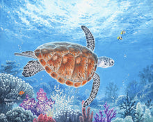 Charger l'image dans la galerie, Peinture par numéros Tortue en ballade | Figured'Art intermédiaire animaux tortues nouveautés