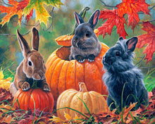 Charger l'image dans la galerie, Peinture par numéros Trio de Lapins | Figured'Art intermédiaire animaux lapins nouveautés