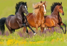 Charger l'image dans la galerie, peinture par numéros | Trois Chevaux au Galop | animaux chevaux facile | FiguredArt